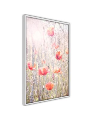 Poster  Poppies